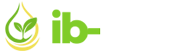 IB-BOR